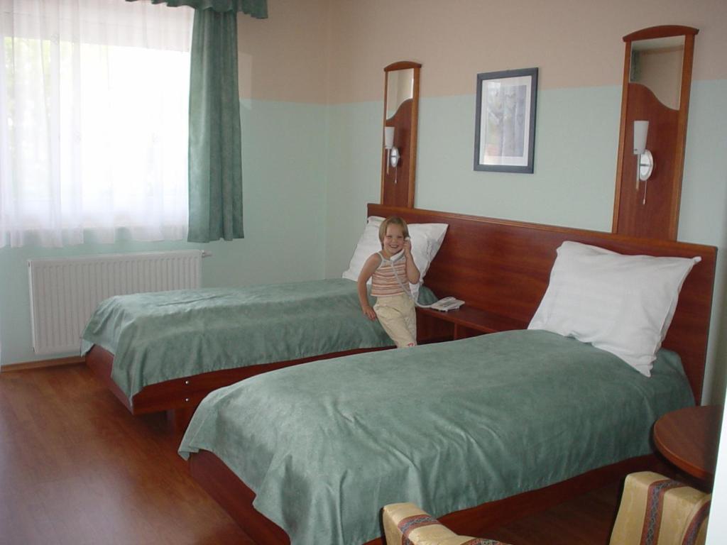 Wolf Hotel Sárvár Oda fotoğraf
